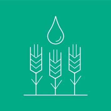 Agriculture Icon Icon für eine einzelne Zone innerhalb der Smart Urban Areas