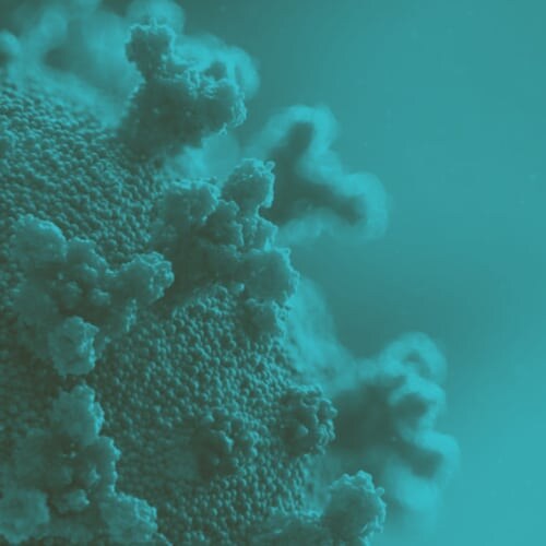 Corona Virus COVID-19