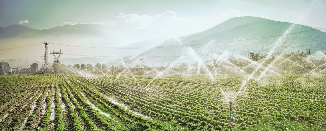 Agriculture - Sprinkling field