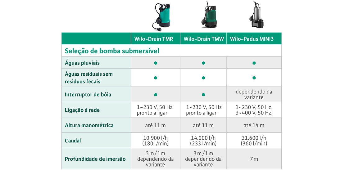 Dewatering Selection of submersible pumps BSR_Portuguese