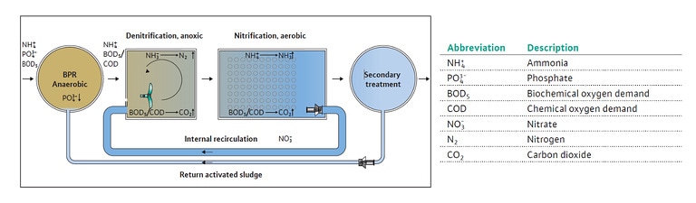 Schematic diagram of the transport through recirculation pumps