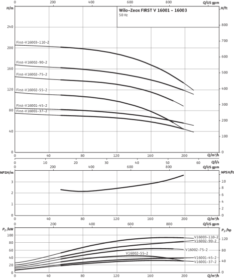Zeox FIRST V 16001 - 16003