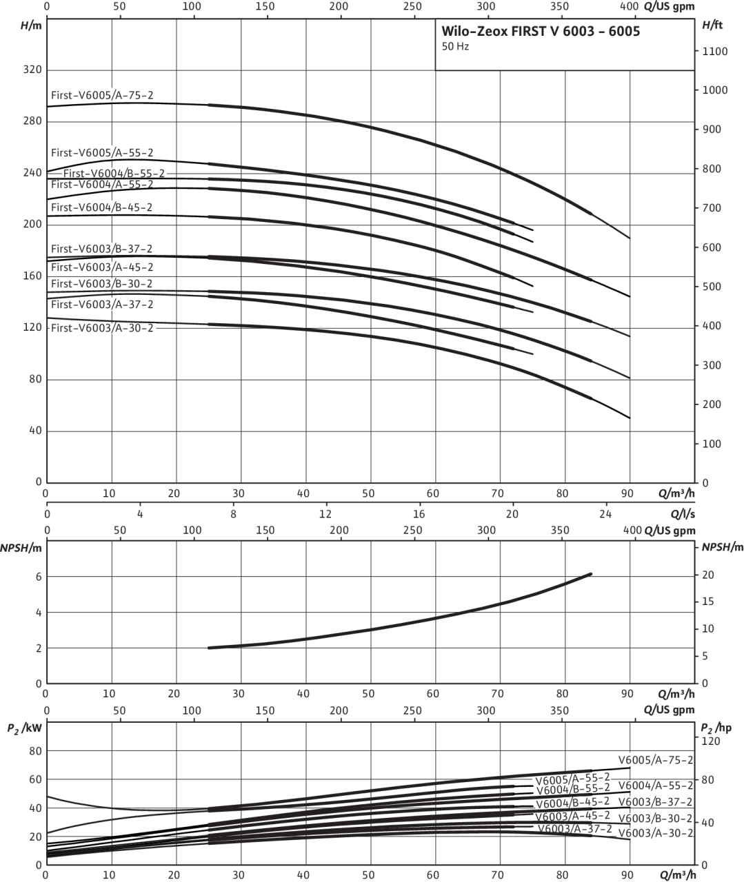 Zeox FIRST V 6003 - 6005
