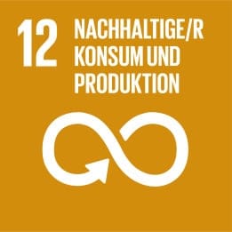 Das SDG 12 Nachhaltiger Konsum und Produktion