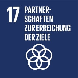 Das SDG 17 Partnerschaften zur Erreichung der Ziele