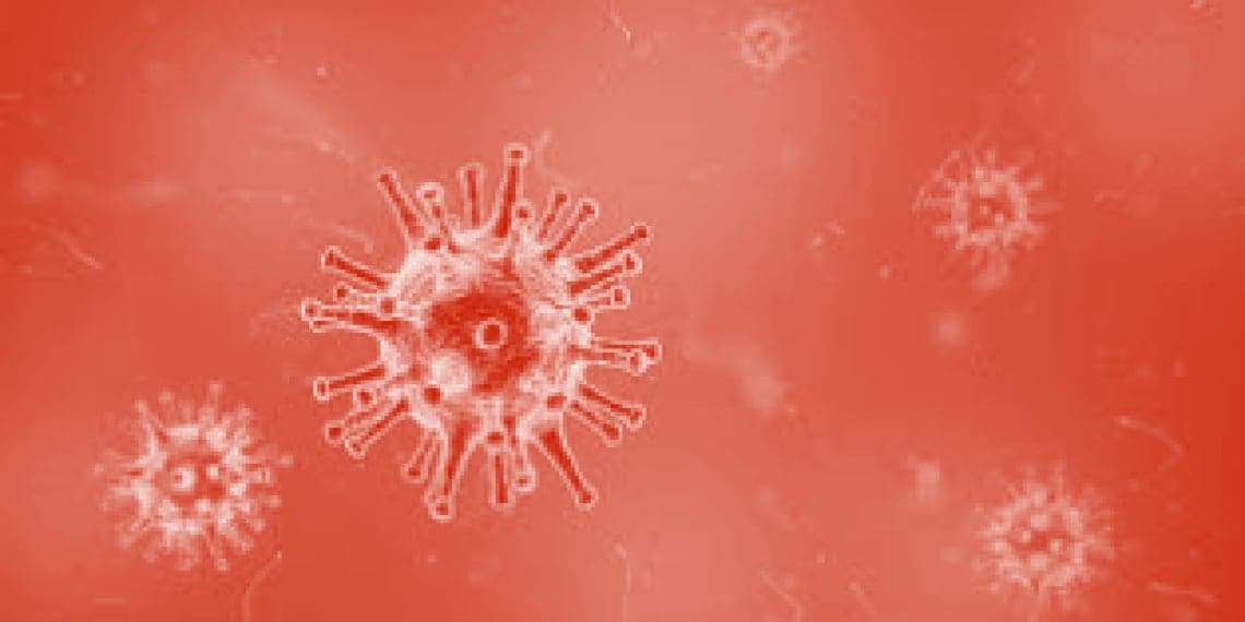 Wilo-Foundation ziedo 30000eur koronas vīrusa izpētei