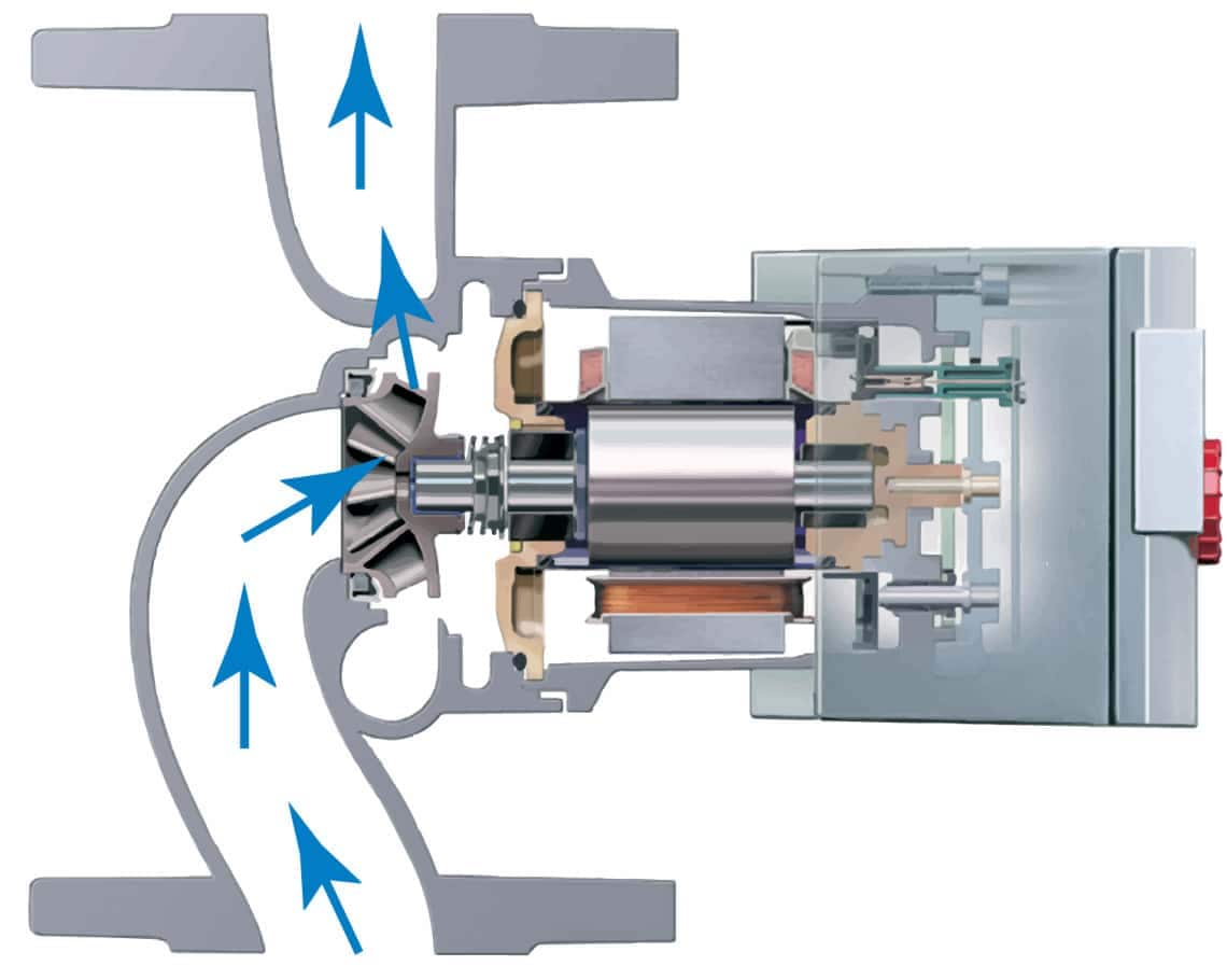 dwarsdoorsnede natloper centrifugaalpomp
