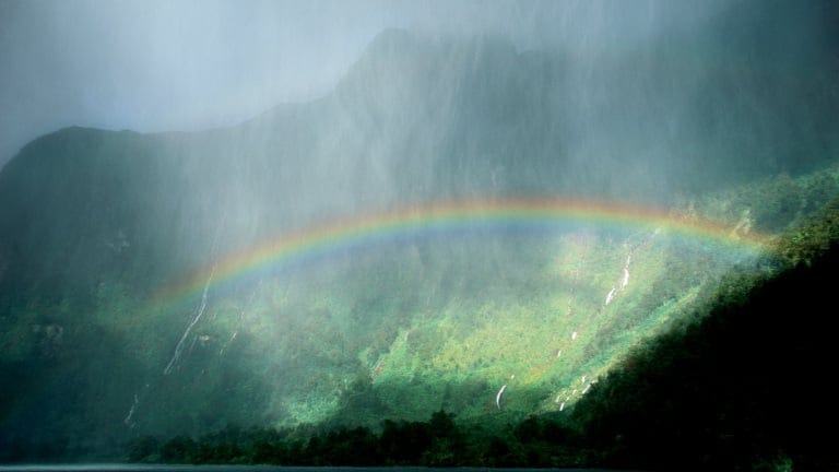 Rainbow over forest