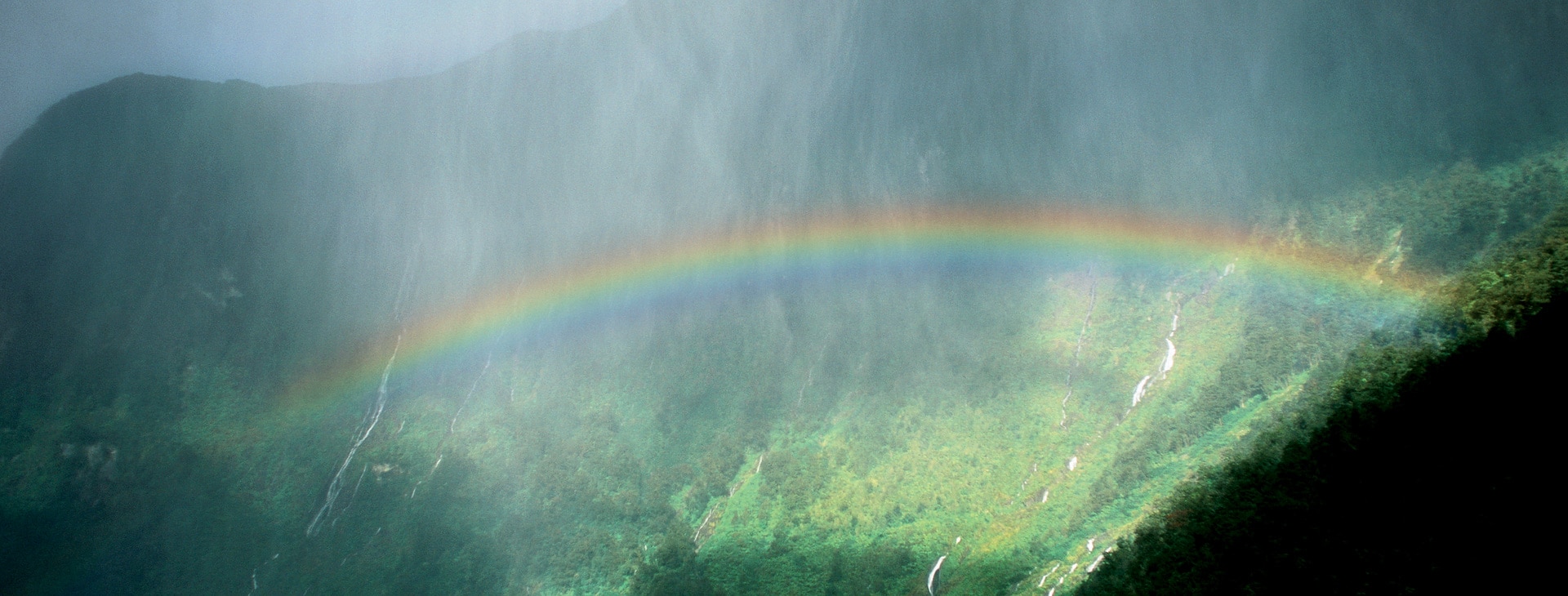 Rainbow over forest