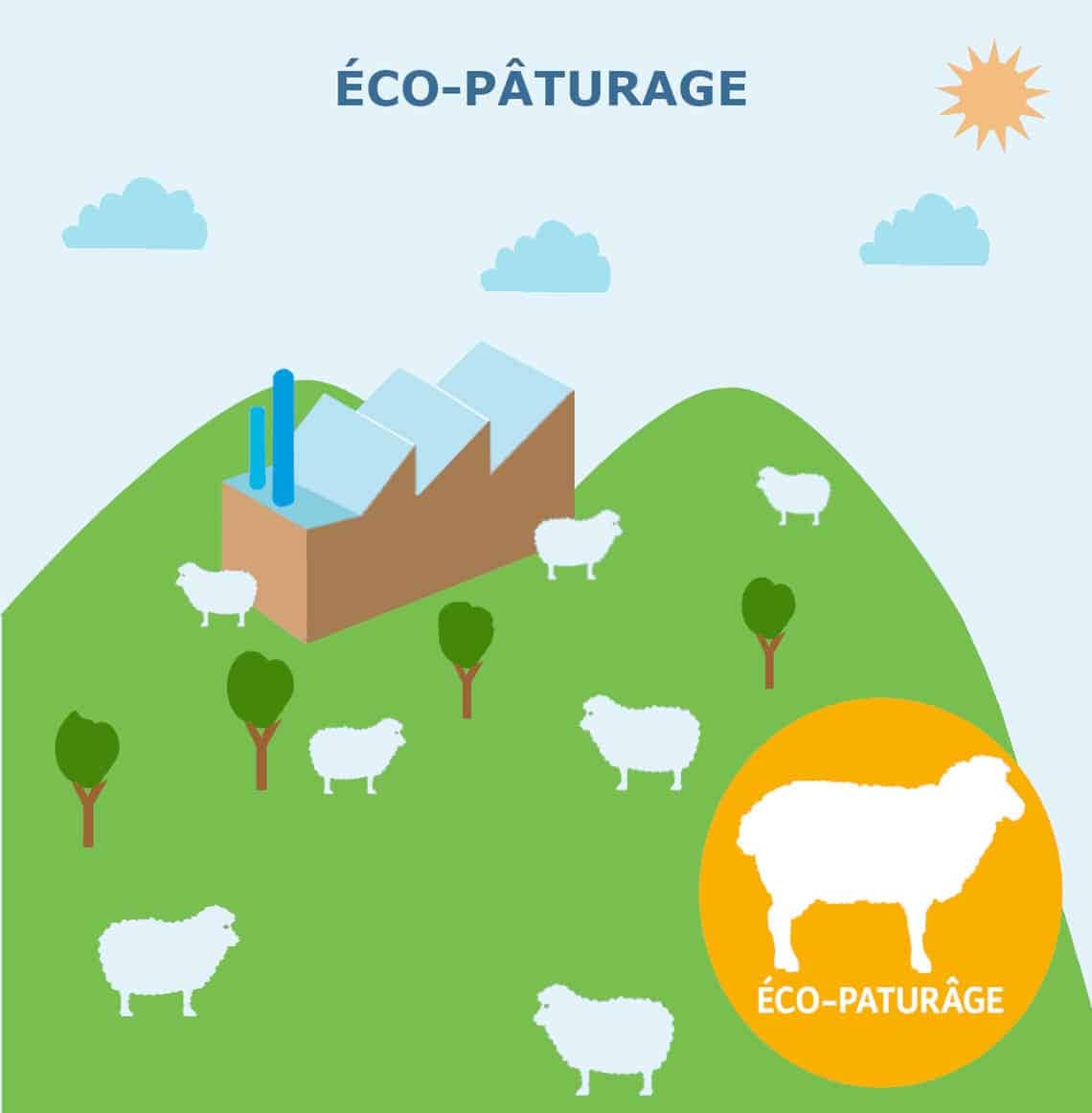 Eco-pâturage