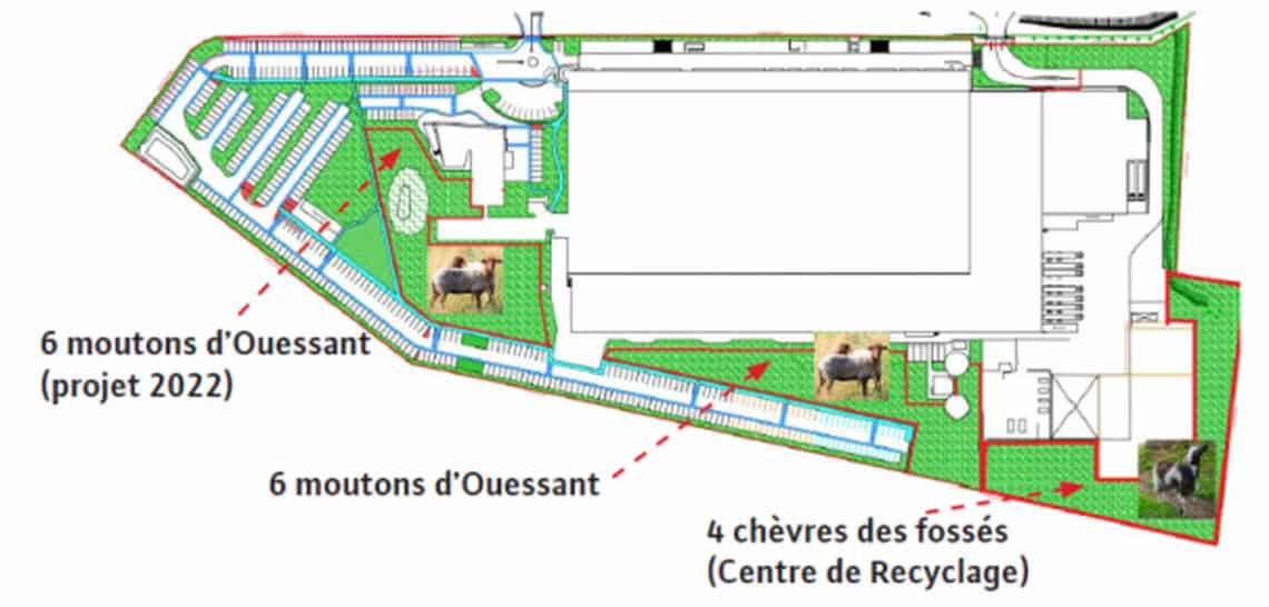 Eco-pâturage à Laval : plan