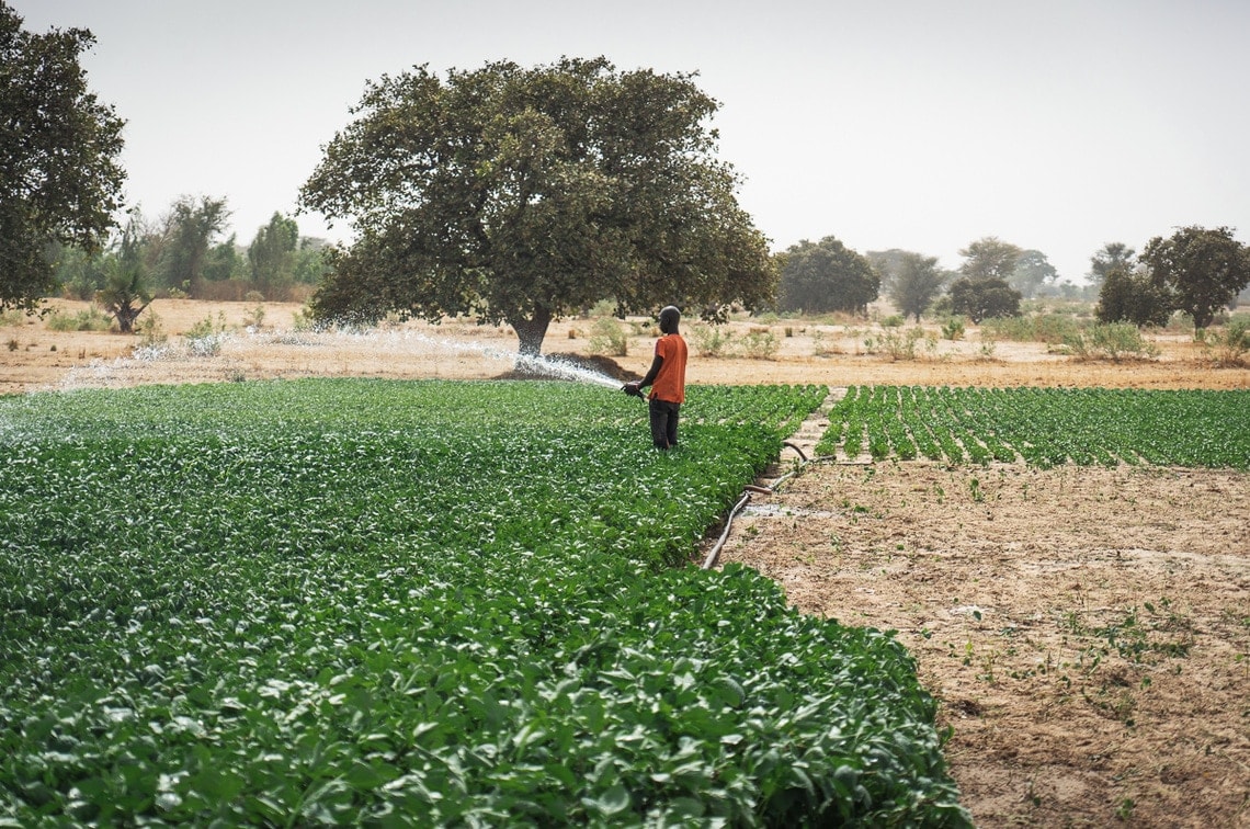 Africa GreenTec ImpactSite