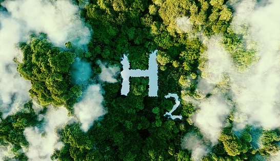 Luftaufnahme des H2 Logos mit Blick auf einen Wald