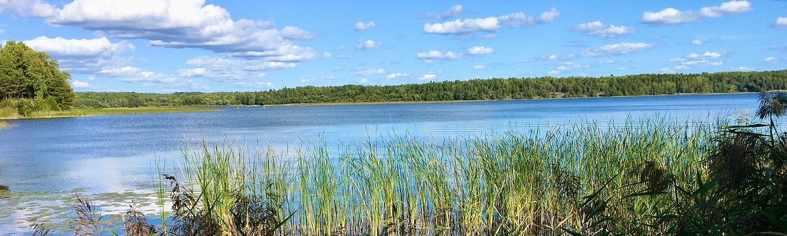 Environment-lake-sweden