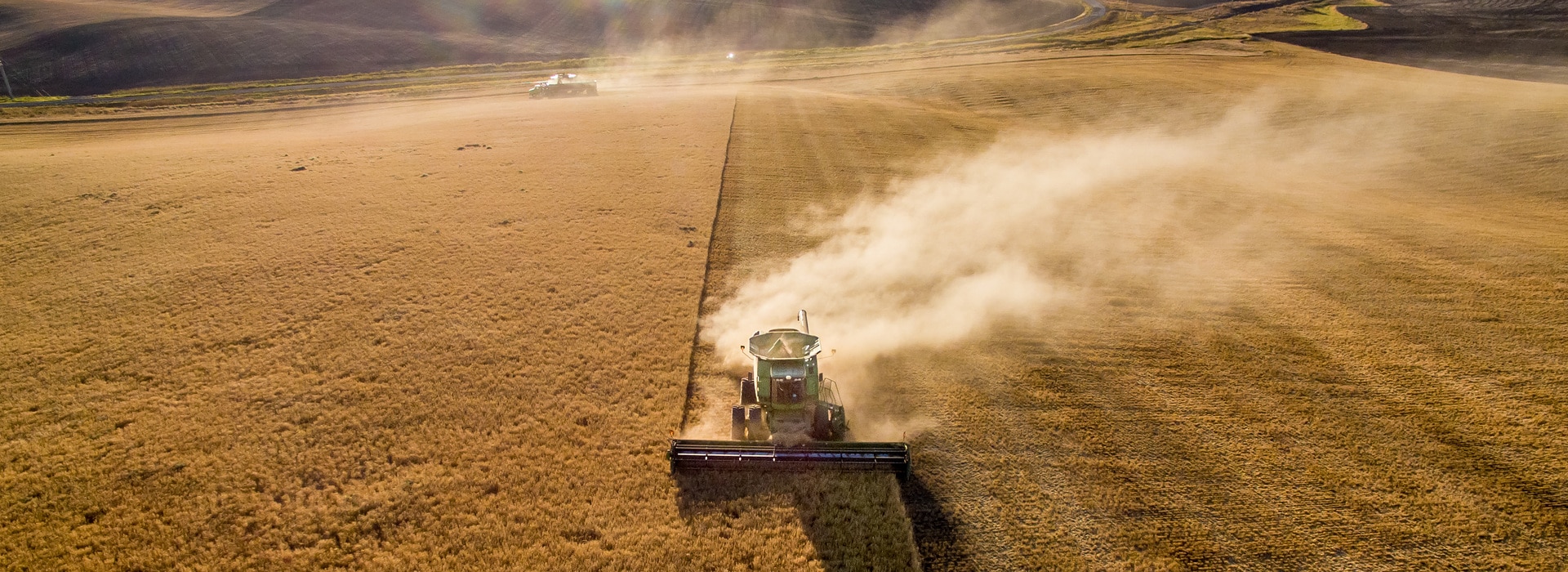 Landwirtschaft