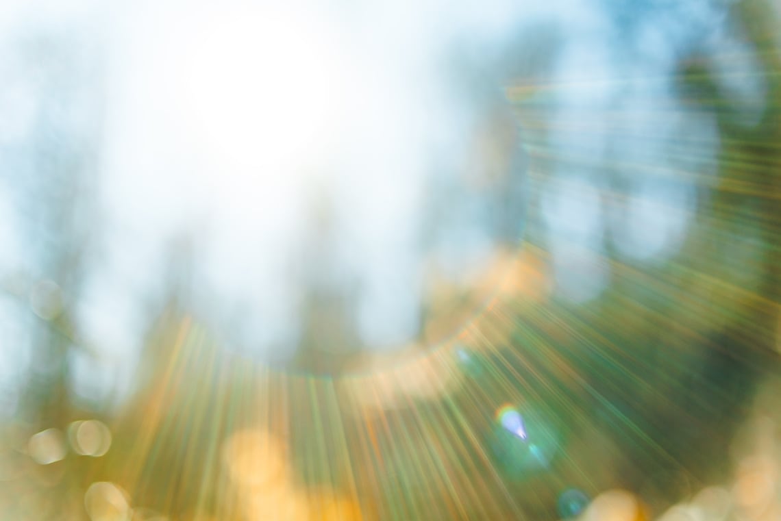 Blurred background with sun rays in the forest