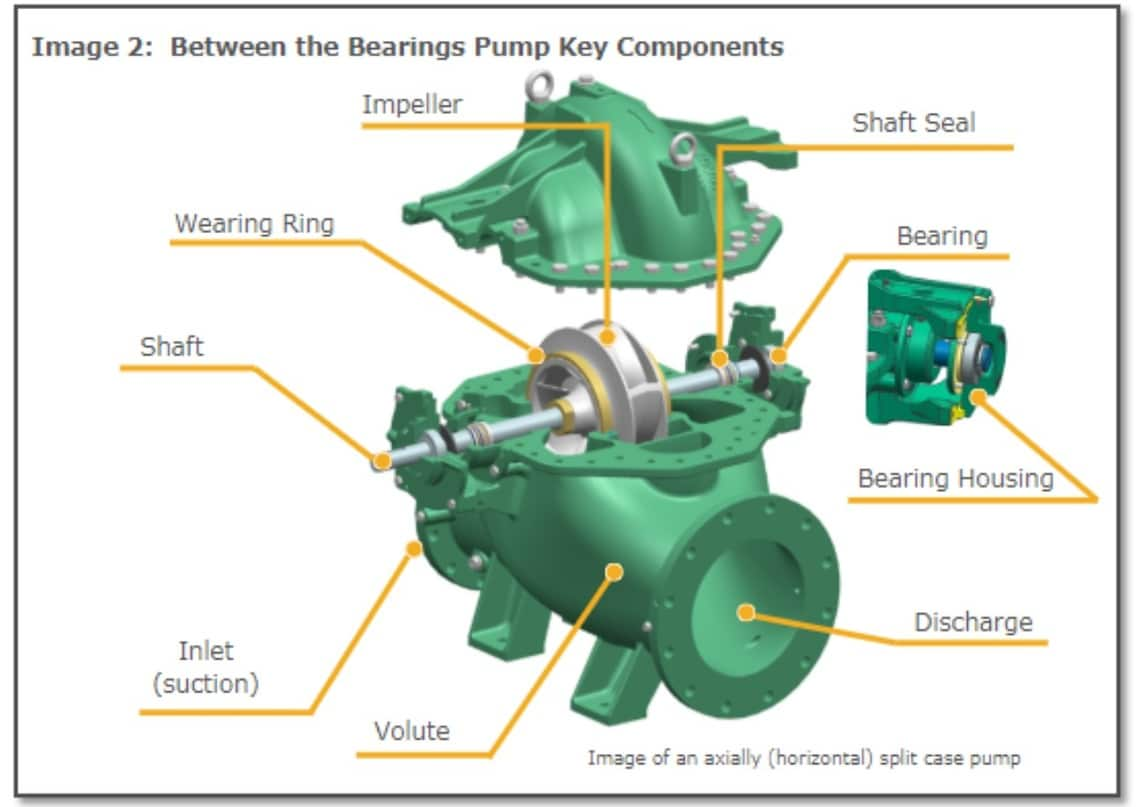 Between the bearings pump key components