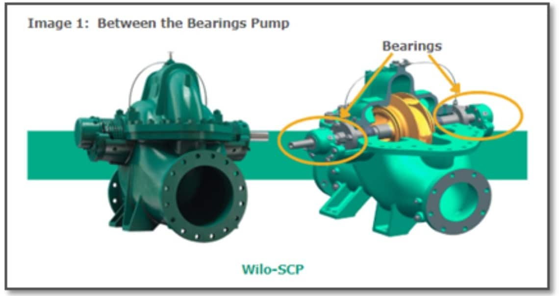 Between the bearings pump