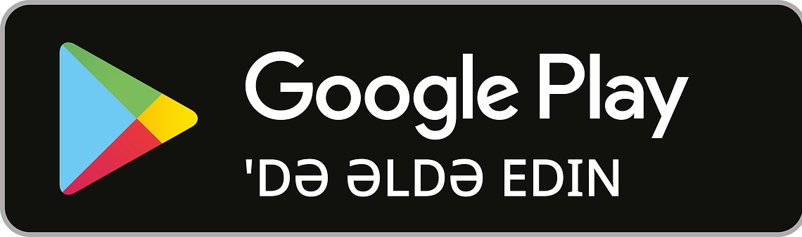 Google Play Store Logo