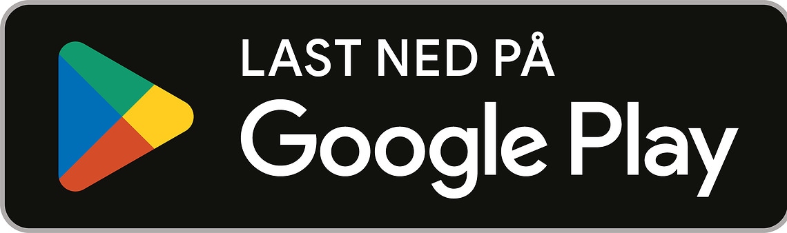 Google Play Store Logo