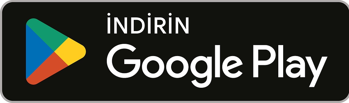 Google Play Store Logo