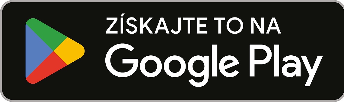 Google Play Store Logo
