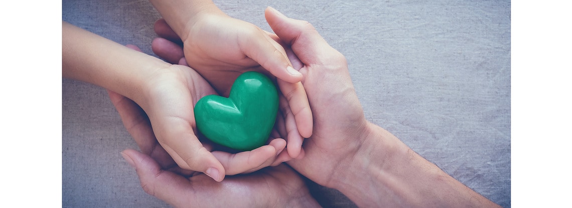 Adult and child hands holiding green heart