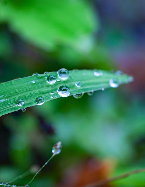 gruenes-gras-mit-dem-element-wasser-als-symbol-fuer-ein-gesundes-umfeld