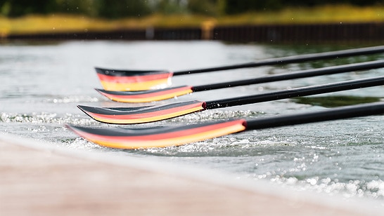 Oars of Team Germany Eight