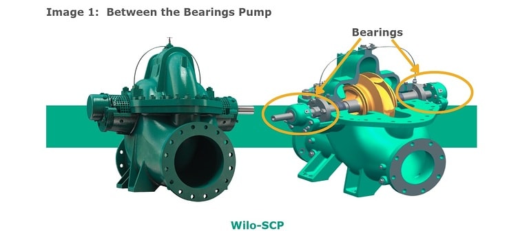 Image of between the bearings pumps