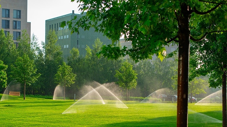 Rainwater harvesting for the irrigation of green spaces