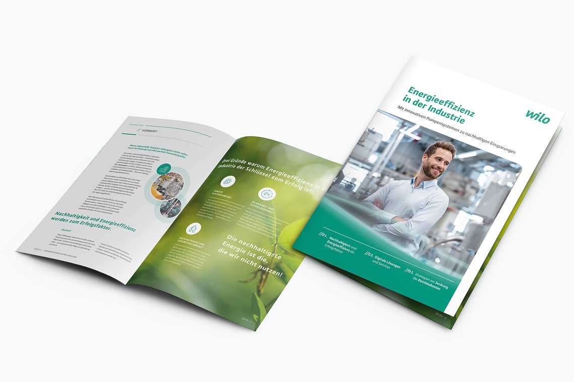 Download kostenloses Whitepaper für Unternehmen in der Industrie. Optimierung von Pumpen und Pumpensystemen