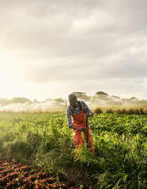 Shot of a young man operating the sprinkler system while working on a farm
