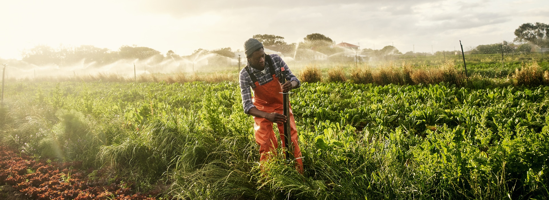 Shot of a young man operating the sprinkler system while working on a farm