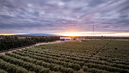 SolFrut Plantage bei schönem Himmel