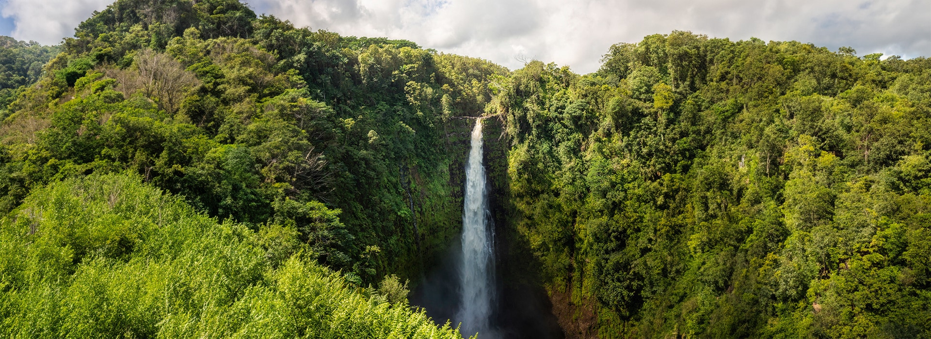 A waterfall in a green landscape