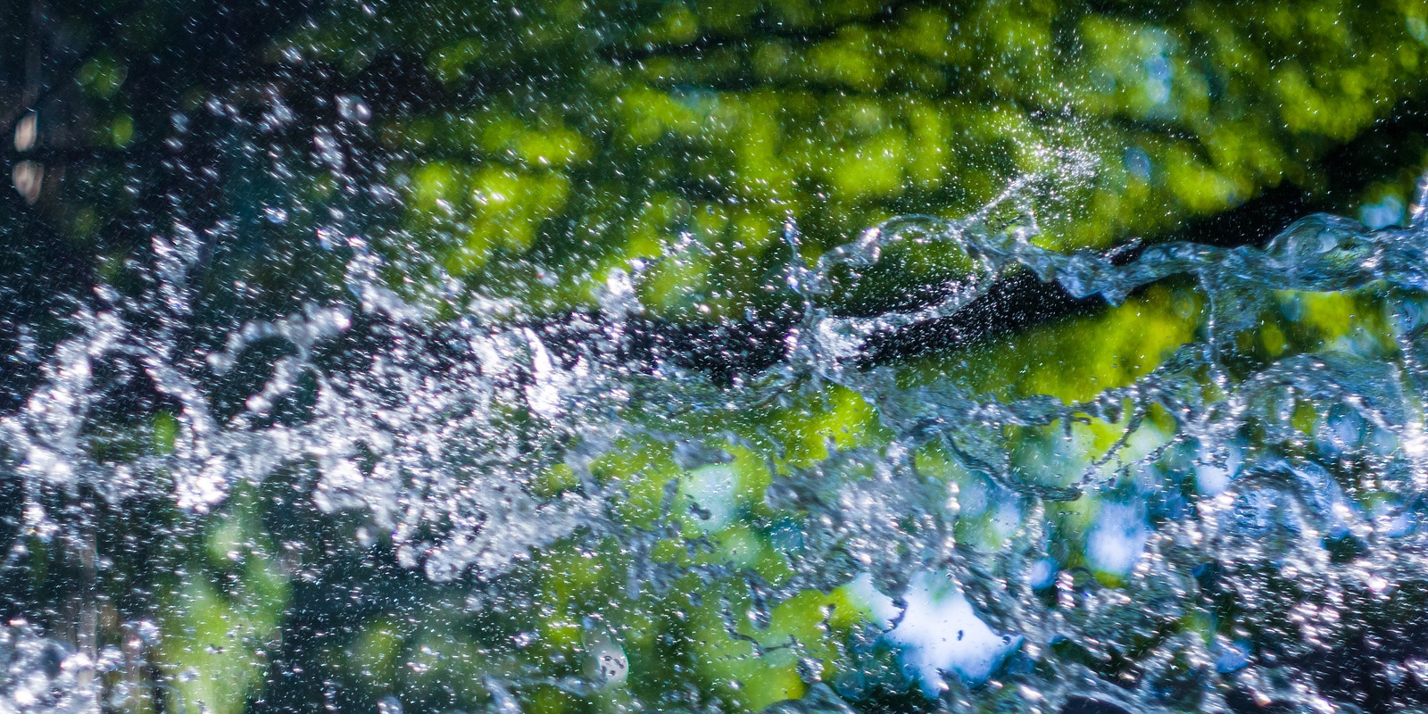 Fließendes Wasser in einer natürlichen Umgebung mit Vegetation als Symbol für sauberes Wasser und nachhaltiges Abwassermanagement (KARL-Abwasserverordnung).