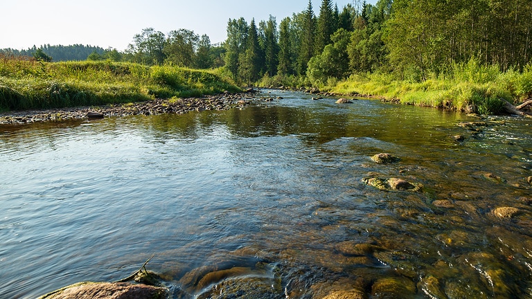 River in a natural setting as a symbol for the reuse of treated water to conserve water resources