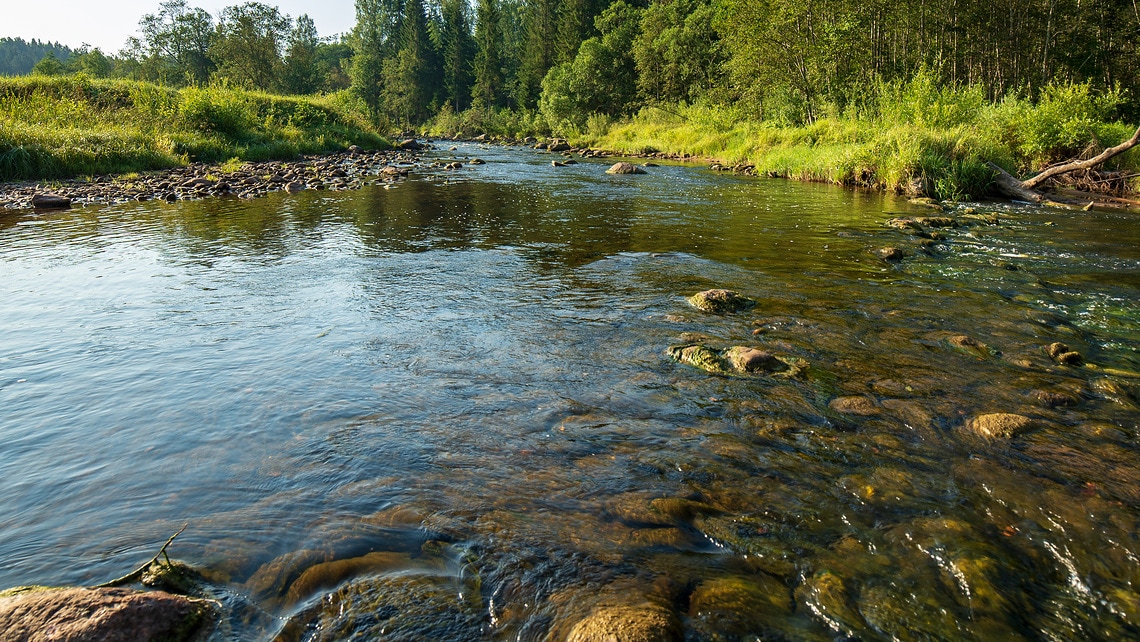 River in a natural setting as a symbol for the reuse of treated water to conserve water resources
