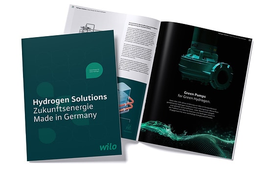 Brochure H2POWERPLANT Hydrogen Solutions DE